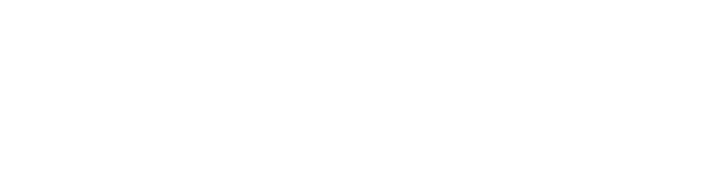 Aliara IT Logo